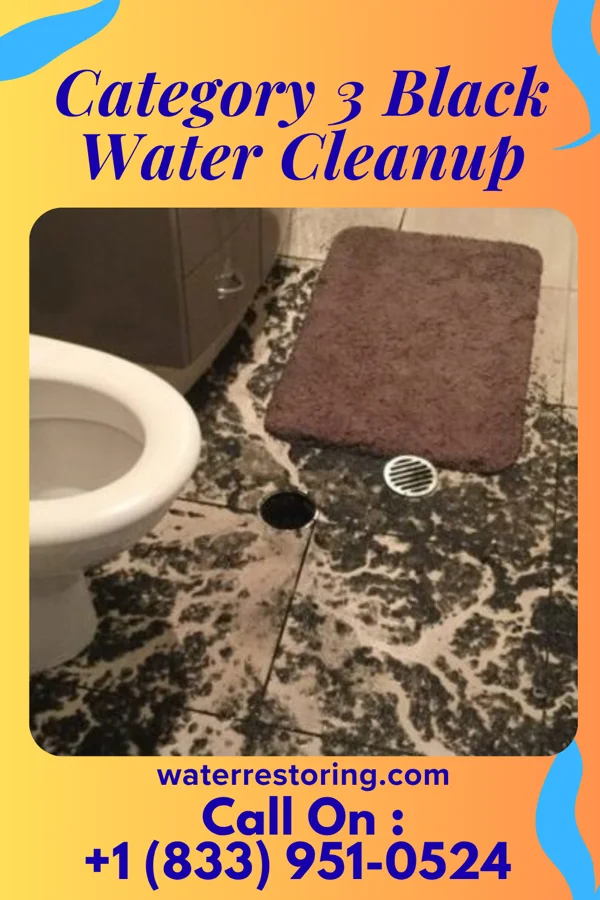 Category 3 Black Water Cleanup in Greenwood, SC