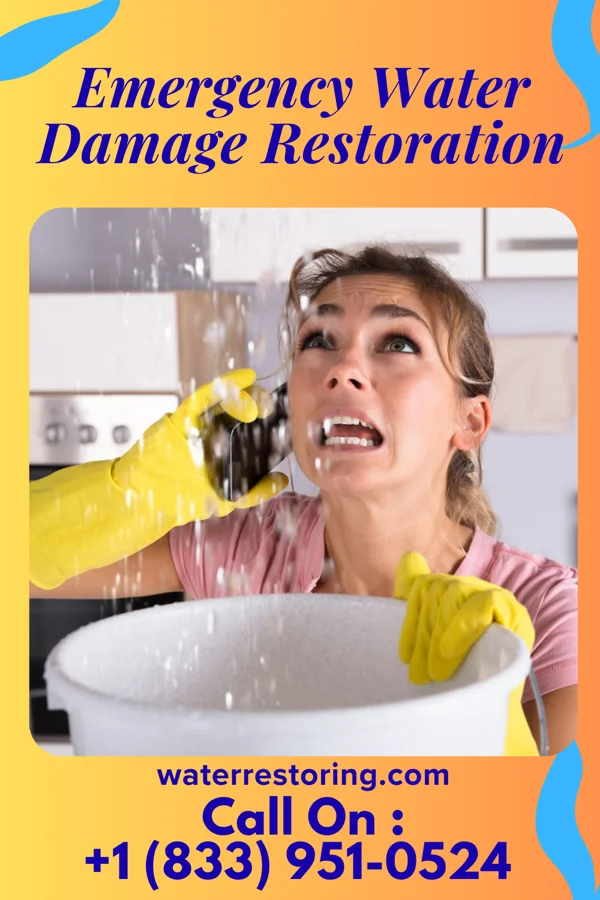 Emergency Water Damage Restoration in Greenwood, SC